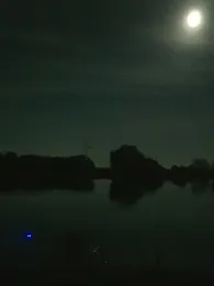 Dreyer Hafen (Alte Weser)-4