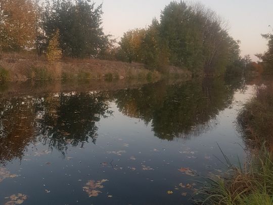 Wurzener Kanal
