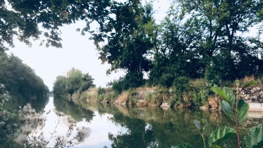 Wurzener Kanal-1