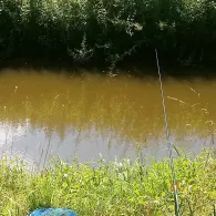 Steinfurter Aa (Wettringen)