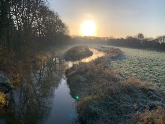 Steinfurter Aa (Wettringen)-2