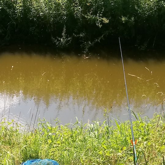 Steinfurter Aa (Wettringen)-1