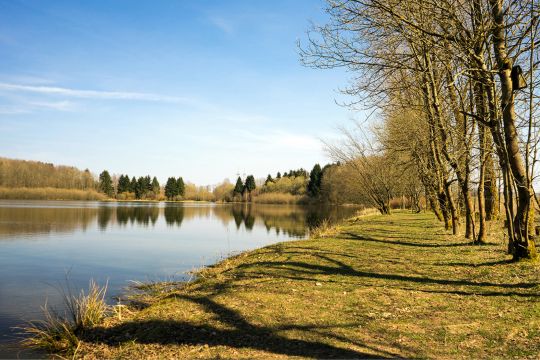 Elkenrother Weiher-3