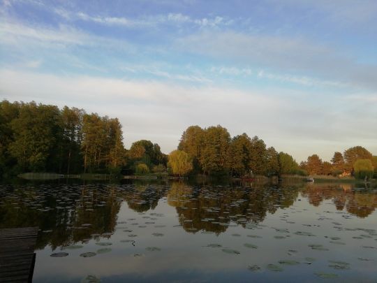 Rheinsberger Rhin angeln