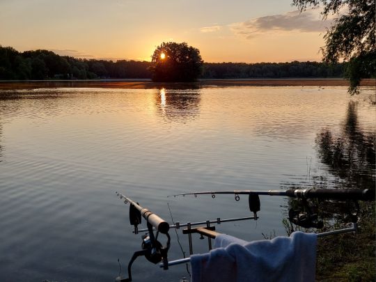 Nymphenteich (Brieselang)-3