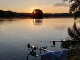 Nymphenteich (Brieselang)-3