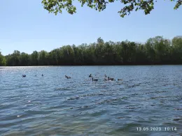 Nymphenteich (Brieselang)-4