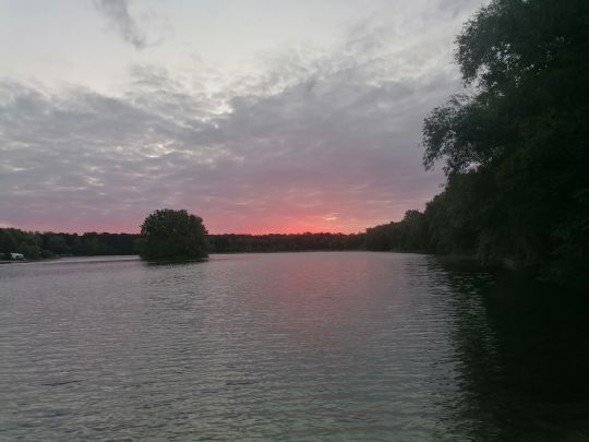 Nymphenteich (Brieselang)-1