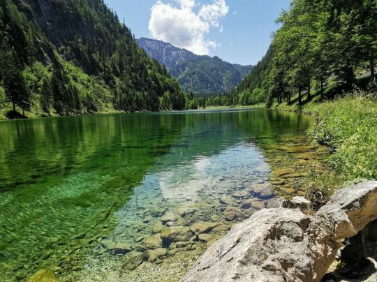 Förchensee