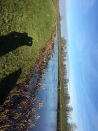 Treene (Hollingstedt)-4