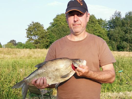 Treene (Hollingstedt)-1