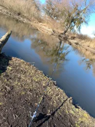 Schussen (Ravensburg)