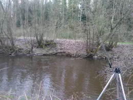 Schussen (Ravensburg)-1