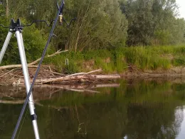 Schussen (Ravensburg)-3