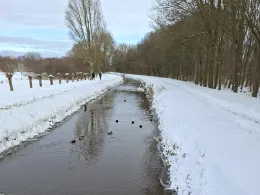 Delme (Delmenhorst)-4