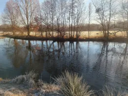 Spree (Malschwitz)-4