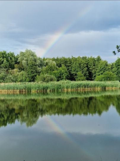Gärtnerteiche Wismar-1