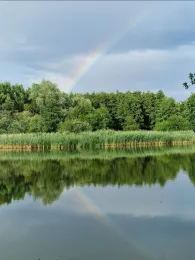 Gärtnerteiche Wismar-1