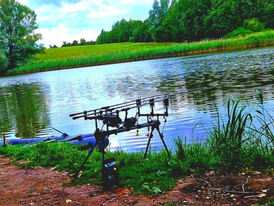 Gärtnerteiche Wismar-4