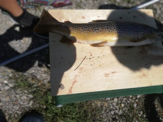 Wertach (Biessenhofen)-2