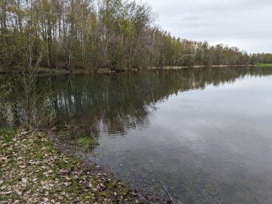 Stausee Oberwald