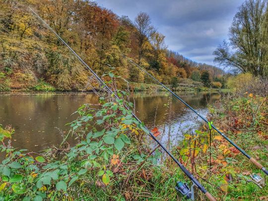 Sieg (Hoppengarten)-2