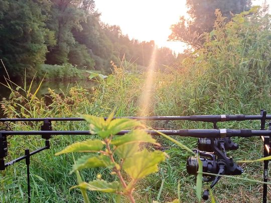 Sieg (Hoppengarten)-1