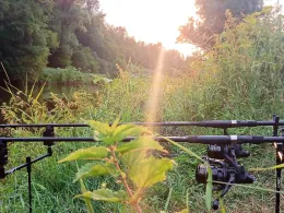 Sieg (Hoppengarten)-1