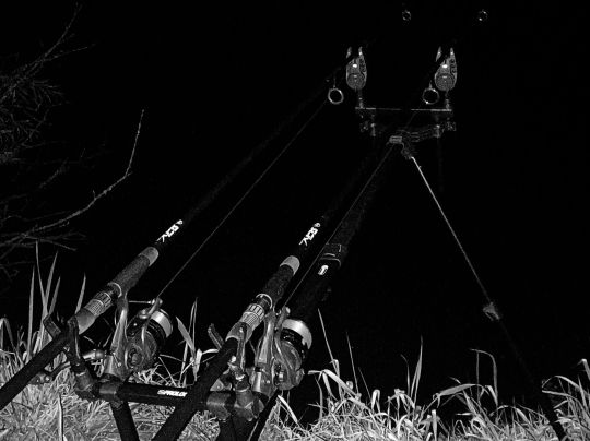 Sieg (Hoppengarten)-3