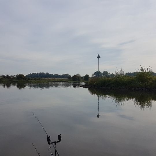 Nederrijn (Opheusden)-1