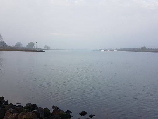 Nederrijn (Opheusden) angeln