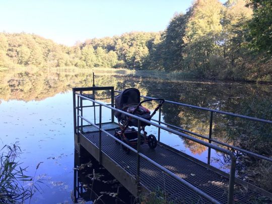 Markower Mühlenteich (Parchim)