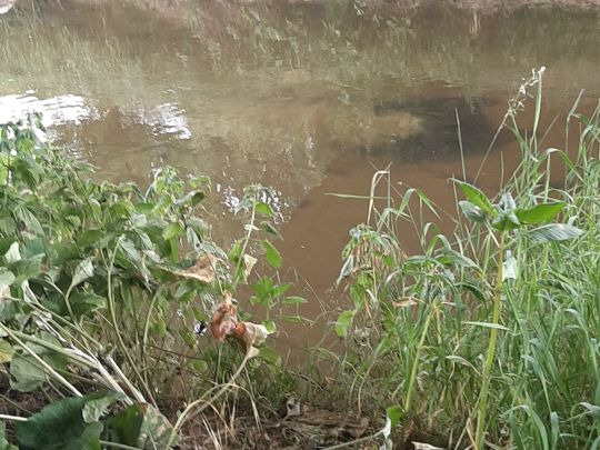 Weschnitz (Lorsch)-2