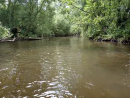 Kyll (Birgel / Lissendorf)-3