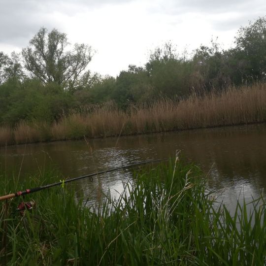 Altes Torfmoor (Malchin)-1