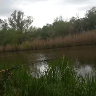 Altes Torfmoor (Malchin)-1