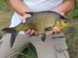 Landwettern (Buxtehude)