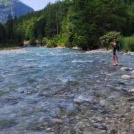 Berchtesgadener Ache (Unterau)-4