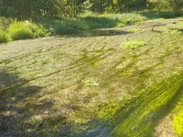 Püttlach (Püttlach)