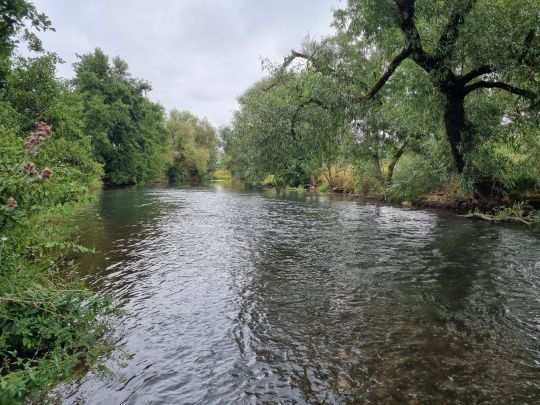 Diemel (Liebenau-Ostheim)-3