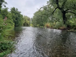 Diemel (Liebenau-Ostheim)-3