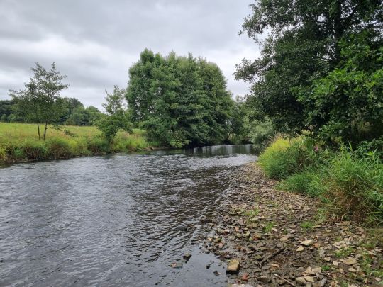 Diemel (Liebenau-Ostheim)-4