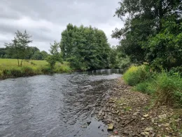 Diemel (Liebenau-Ostheim)-4