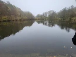 Teich am Sternberg (Frankenau)-3