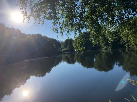 Teich am Sternberg (Frankenau)-2