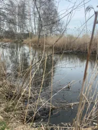 Nieplitz-Umfluter (Beelitz)-3