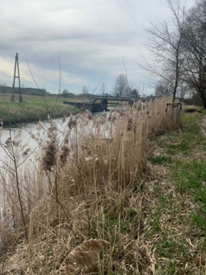 Nieplitz-Umfluter (Beelitz)-1