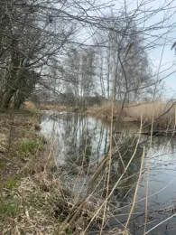 Nieplitz-Umfluter (Beelitz)