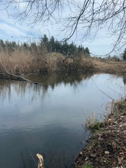 Nieplitz-Umfluter (Beelitz)-2