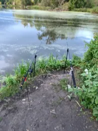 Ententeich Planena-4